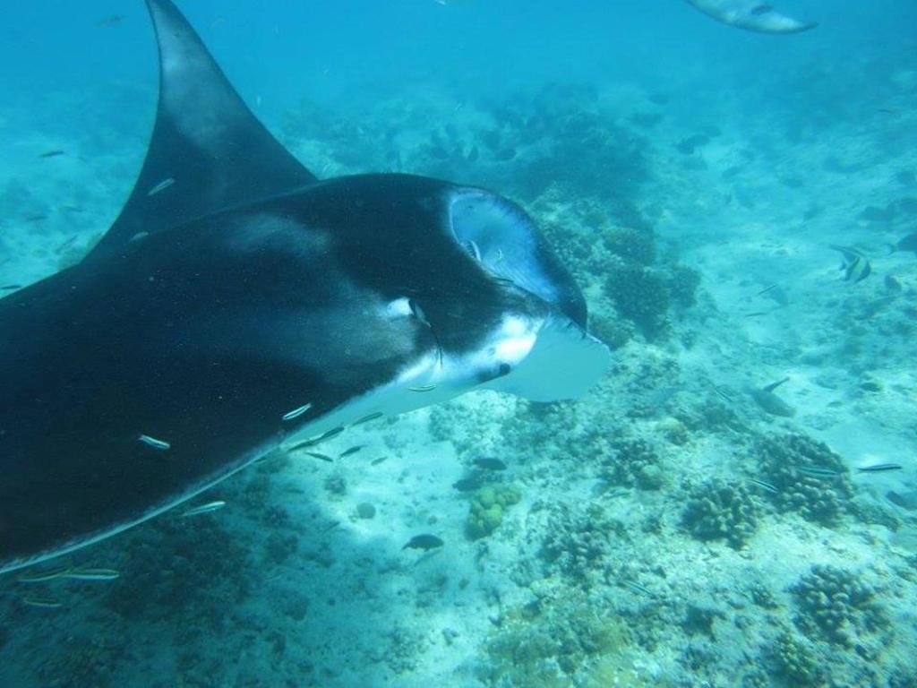 Treasure Island Lodge Huraa Luaran gambar