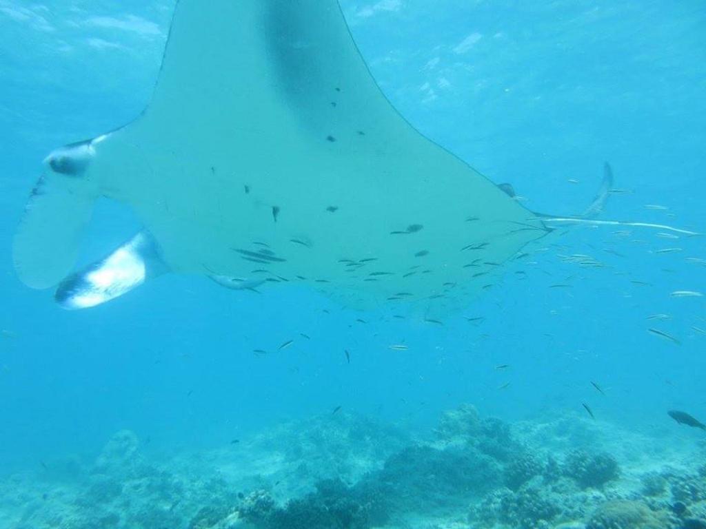 Treasure Island Lodge Huraa Luaran gambar