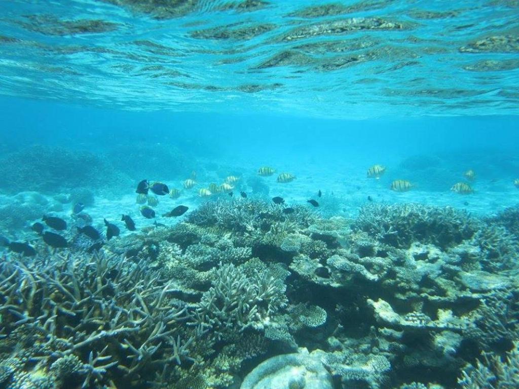 Treasure Island Lodge Huraa Luaran gambar